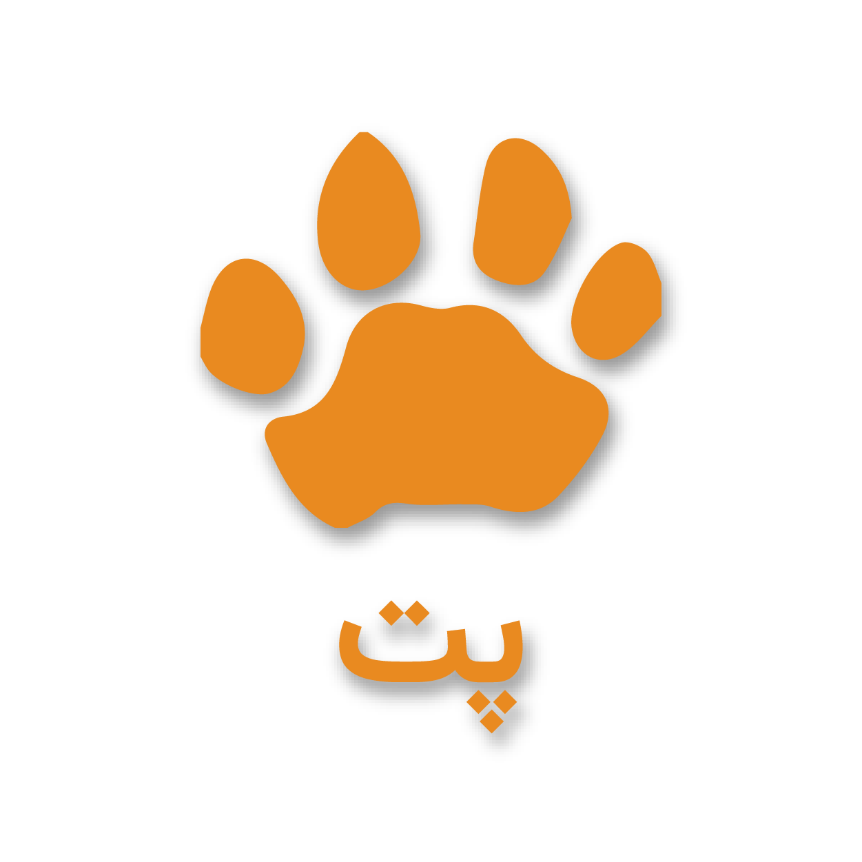 پاکت پت